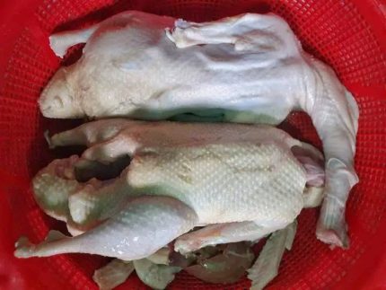 রাজহা‌সের  মাংস