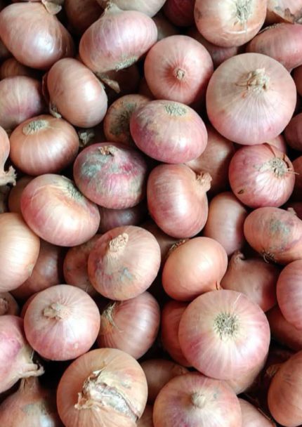 পিয়াজ ছোট